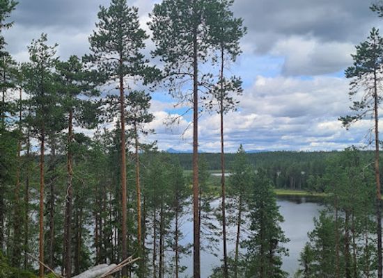 sweden/dalarna/attraction/lomkallan-sarna-skogsmuseum