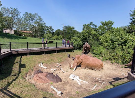 kentucky/daniel-boone-national-forest/attraction/big-bone-lick-state-historic-site