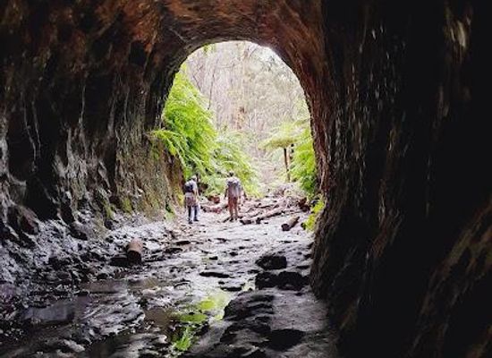 australia/blue-mountains-national-park/attraction/glow-worm-tunnel-walking-track