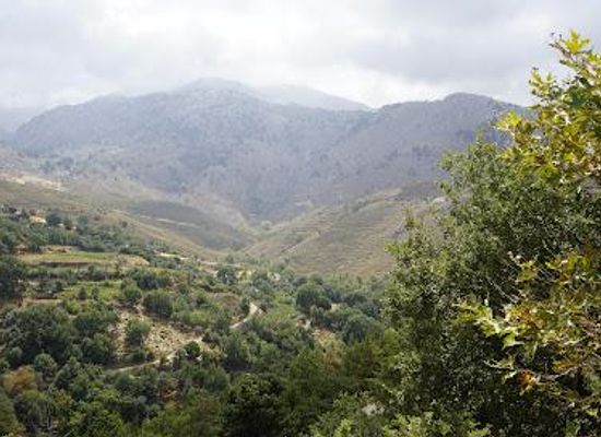 greece/rethymno/attraction/therisos-gorge