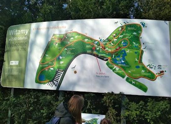 poland/gdansk/attraction/zoo-gdansk