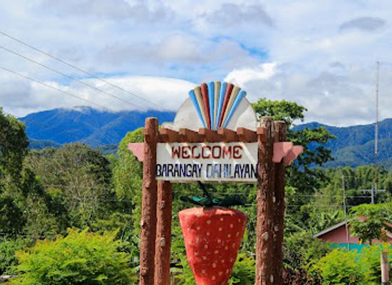 philippines/mindanao/attraction/dahilayan-forest-park