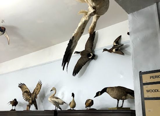 delaware/the-wilmington-metropolitan-area/attraction/iron-hill-school-museum