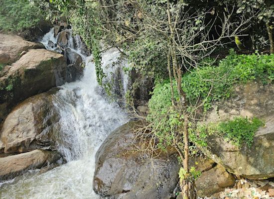 india/south-india/attraction/laws-falls