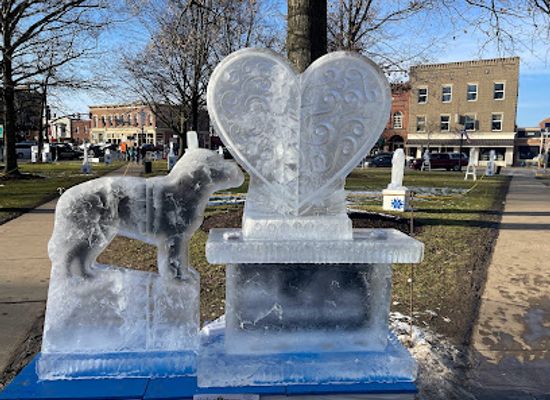 ohio/southwest-ohio/attraction/medina-ice-festival
