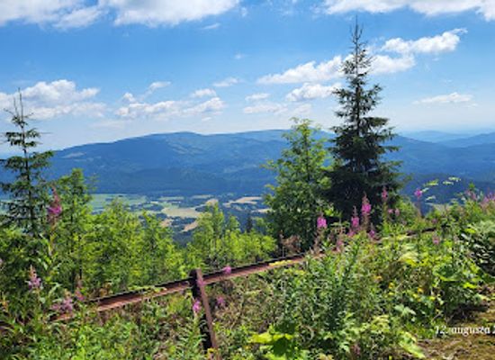 slovakia/tatras/attraction/naucny-chodnik-sumiac-kralova-hola