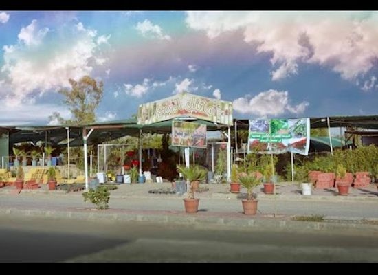iraq/kirkuk/attraction/garden