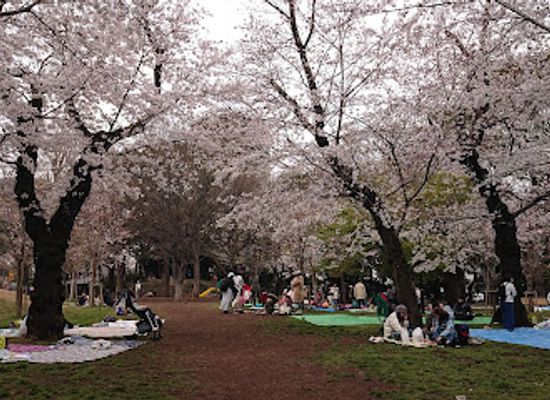 japan/tango/attraction/asukayama-park