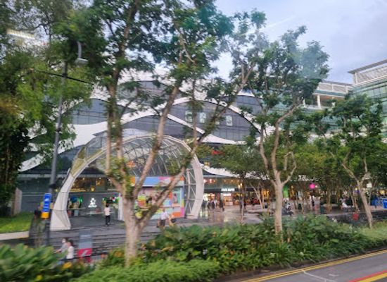 singapore/orchard-road/attraction/sri-temasek