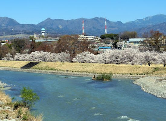 japan/kai/attraction/shingenzutsumi-park