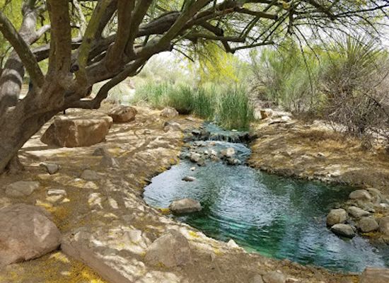 arizona/tonto-national-forest/attraction/riparian-preserve-at-water-ranch