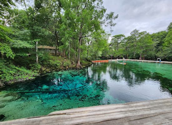 florida/suwannee-river/attraction/fanning-springs-state-park