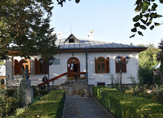 romania/moldavia/attraction/muzeul-viei-si-vinului