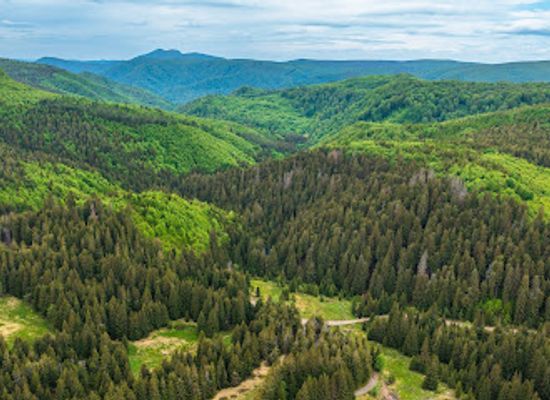 romania/maramures/attraction/poiana-lui-dumitru