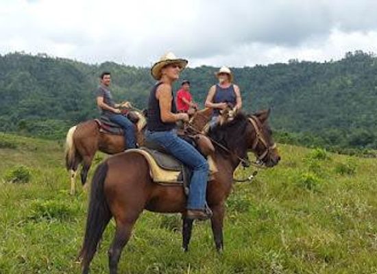 belize/dangriga/attraction/outback-trails