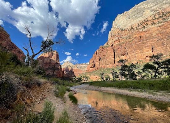 utah/zion-national-park/attraction/walter-s-wiggles