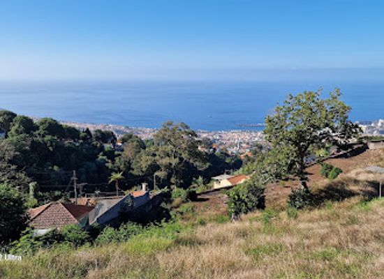 portugal/madeira/attraction/carreiros-do-monte-descida-carro-de-cestos
