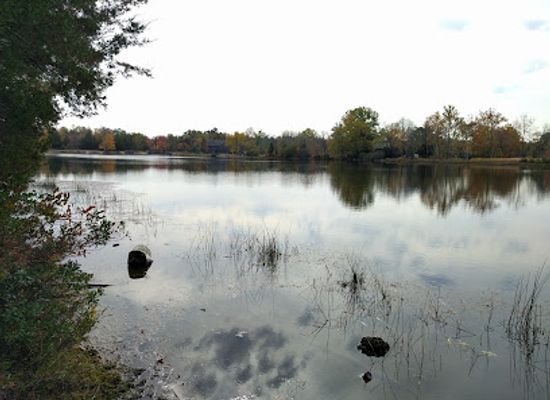 new-jersey/batsto-village/attraction/batsto-river