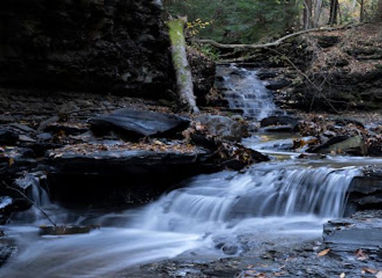 ohio/western-reserve/attraction/bedford-reservation