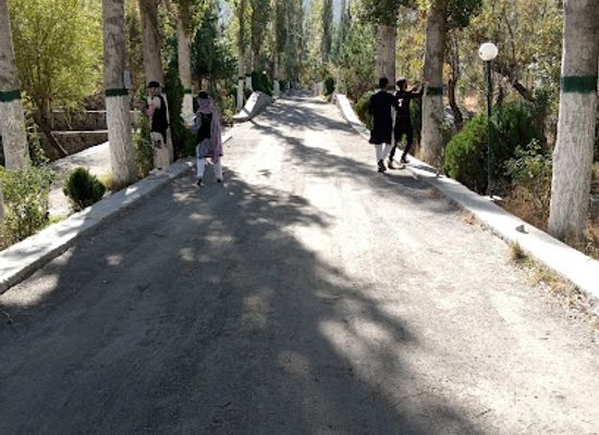 pakistan/skardu/attraction/forest-park