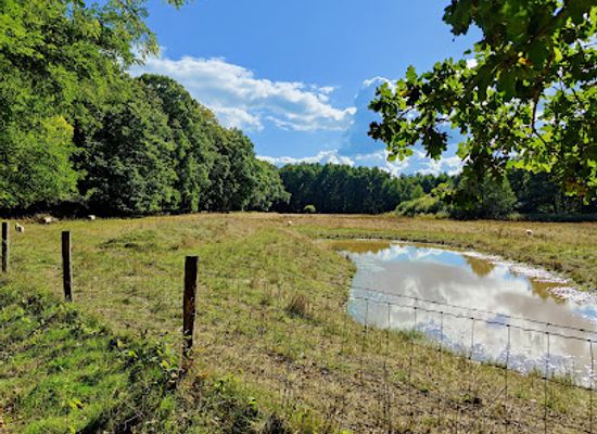 netherlands/limburg/attraction/meinweg-national-park