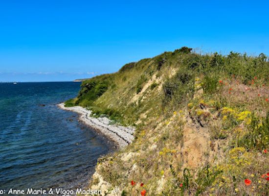 denmark/the-north-sea-islands/attraction/bjorno