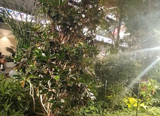 uganda/bwindi-impenetrable-national-park/attraction/macuba-cottages