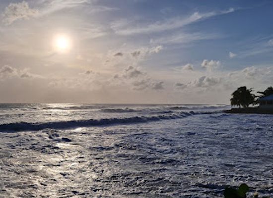barbados/saint-peter/attraction/deadtreepoint
