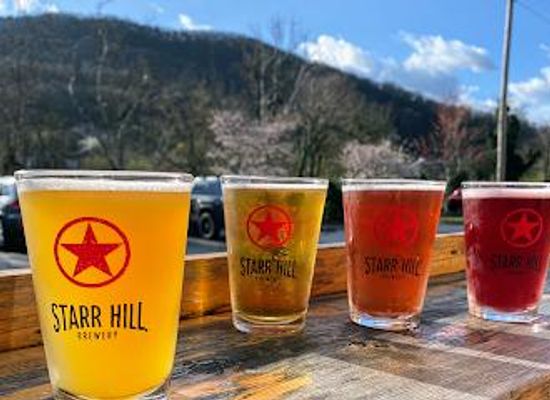 virginia/roanoke-valley/attraction/starr-hill-pilot-brewery-side-stage