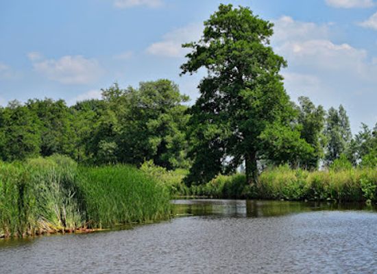 netherlands/giethoorn/attraction/kanokampeerplek-giethoorn-oost