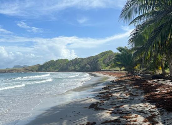 saint-lucia/anse-chastanet/attraction/honeymoon-beach