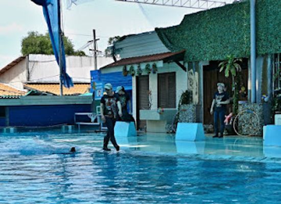thailand/koh-samui/lamai/attraction/samui-aquarium-tiger-zoo