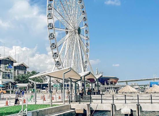 florida/miami/attraction/skyviews-miami-observation-wheel