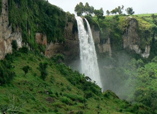 uganda/bwindi-impenetrable-national-park/attraction/gorillavisit-com