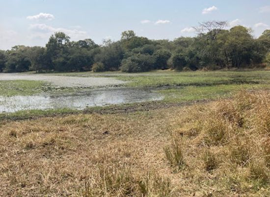 malawi/thyolo-highlands/attraction/kuti-wildlife-reserve