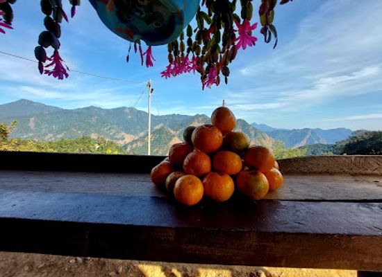 bhutan/chhukha-district/attraction/bhalukhop