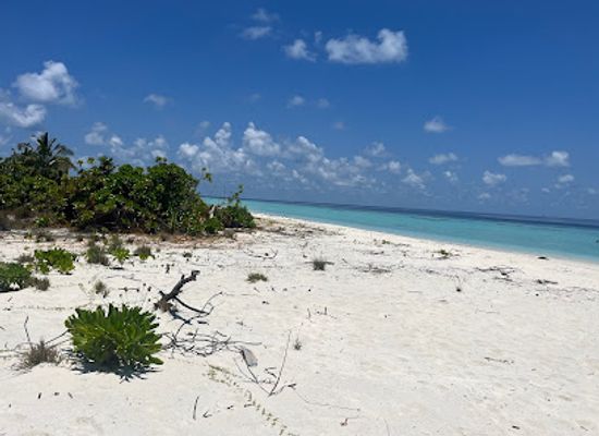 maldives/meemu-atoll/attraction/jinnathgaa