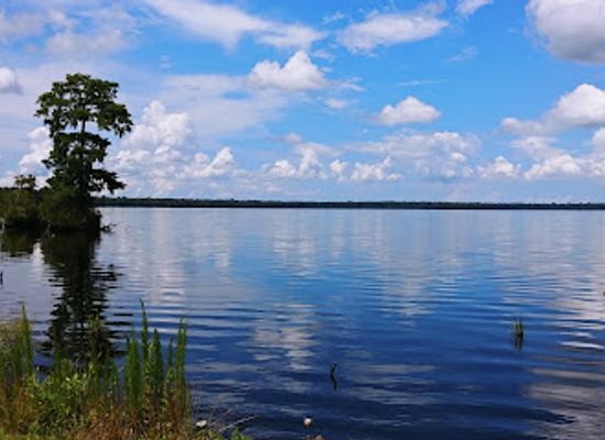 virginia/suffolk/attraction/great-dismal-swamp-national-wildlife-refuge