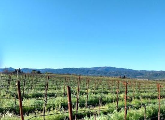california/wine-country/attraction/silverado-trail