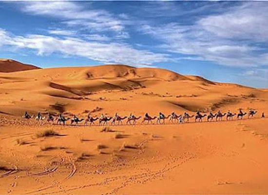 morocco/sahara-desert/attraction/original-morocco-tours-sahara-desert-trip-camel-trekking