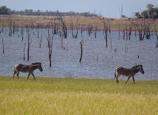 zimbabwe/kariba/attraction/matusadona-national-park