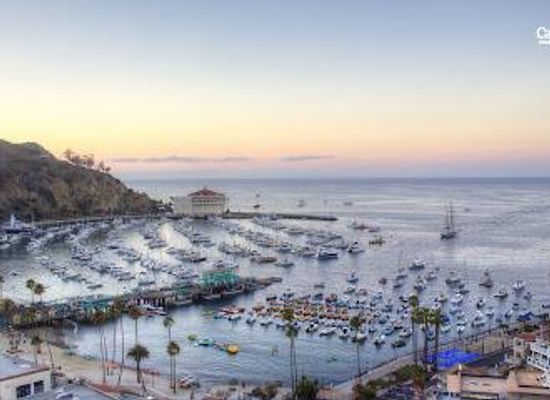 california/south-coast/attraction/catalina-island-visitor-center