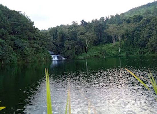 malawi/southern-region/attraction/mulunguzi-dam-park