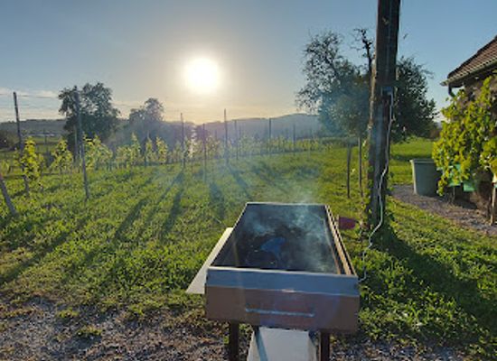 switzerland/zurich-lake/attraction/weinbau-und-landwirtschaftsmuseum
