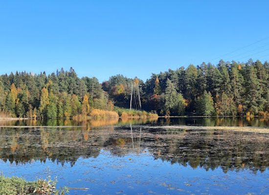 finland/kuopio/attraction/linnanpelto