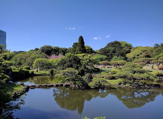 japan/higo/attraction/yoyogi-park