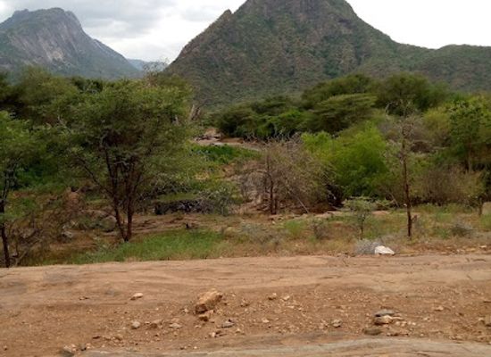 kenya/pokot-region/attraction/nasolot-national-reserve