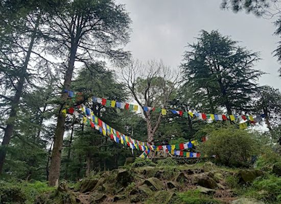 india/mcleodganj/attraction/prayer-flag-point-dharamkot