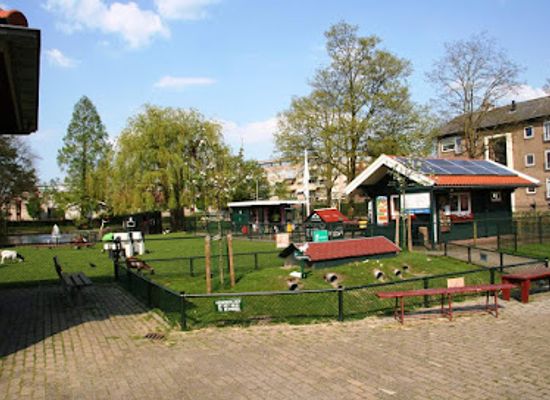 netherlands/alblasserwaard/attraction/kinderboerderij-de-plantage