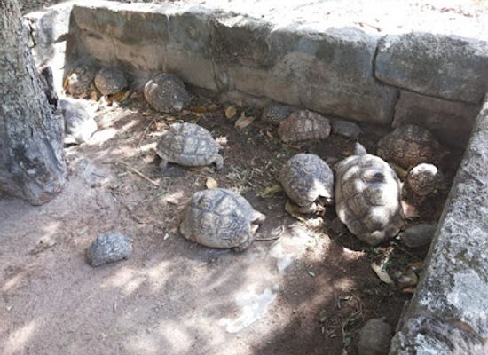 tanzania/tabora/attraction/tabora-park